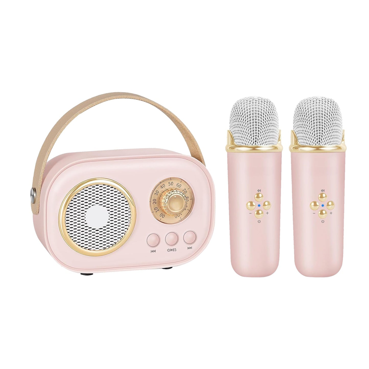 JoyTunes Mini Karaoke Set