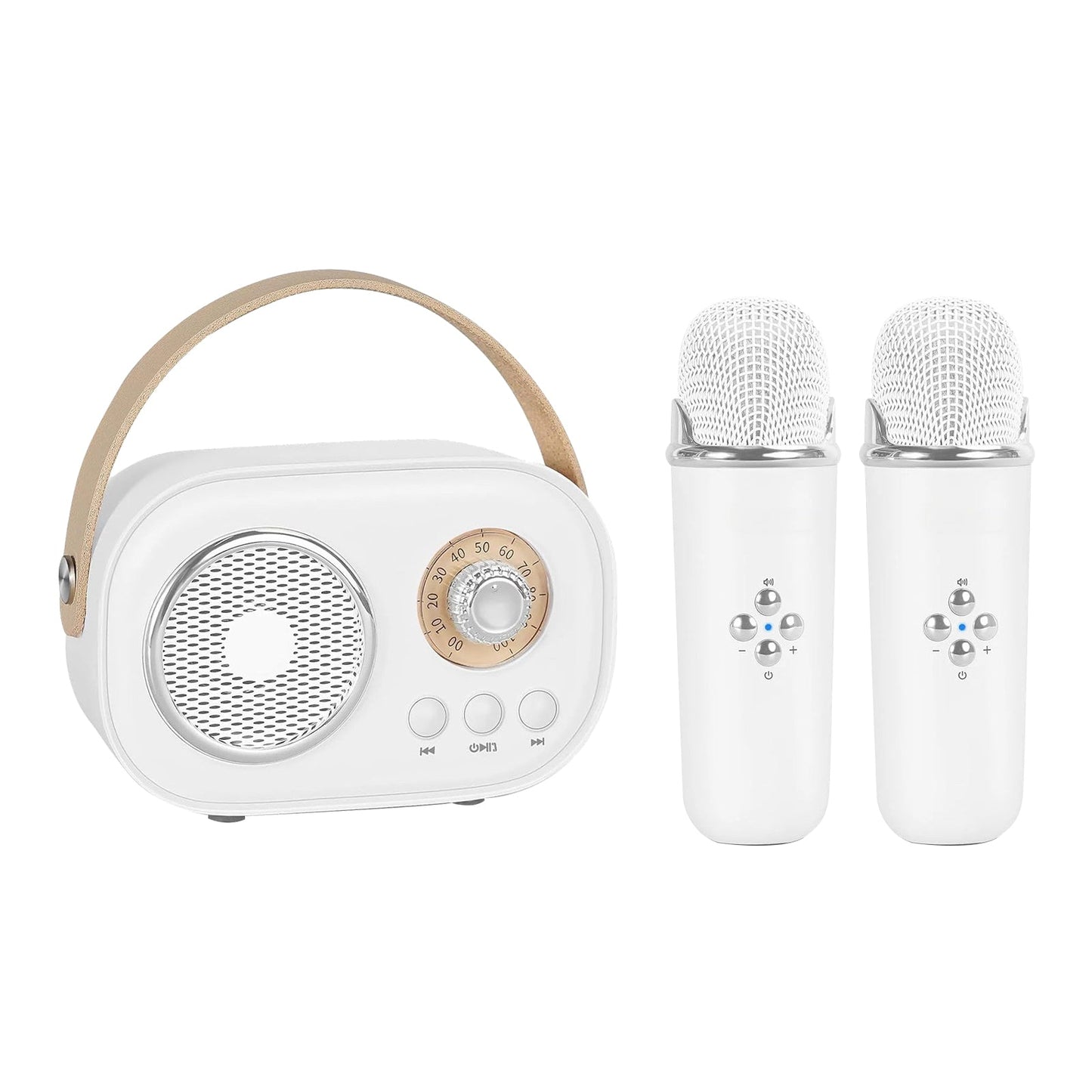 JoyTunes Mini Karaoke Set